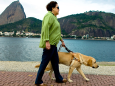 foto da Ethel e o co guia Cizar andando no Aterro do Flamengo com o Po de Acar ao fundo