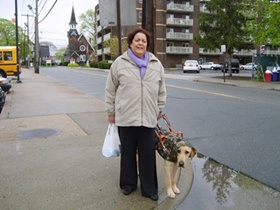 foto: Cizar usando uma capa de chuva camuflada (como do exrcito) com Ethel fazendo compras num dia chuvoso - treinamento