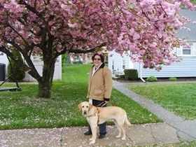 foto: Ethel e Cizar sob uma rvore totalmente coberta com flores rosa numa calada com ptalas